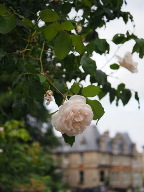 Bath, Anglie