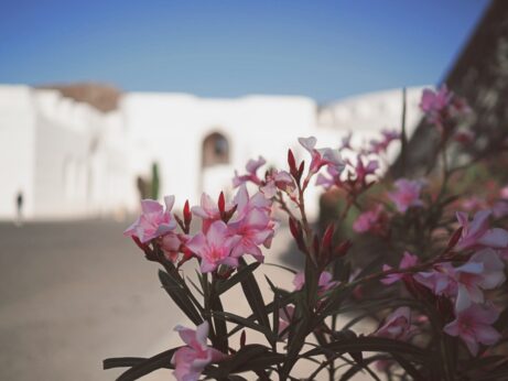 Muscat, Oman