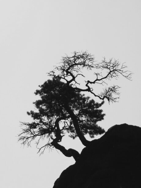 projekt 52, vizuální deník, fotodenik, portrétní fotografka, umělecká fotka