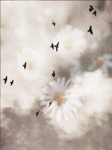 projekt 52, vizuální deník, fotodenik, portrétní fotografka, umělecká fotka