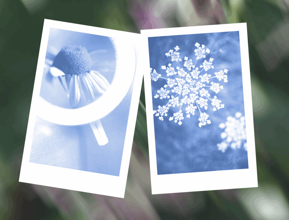 blog fotografky