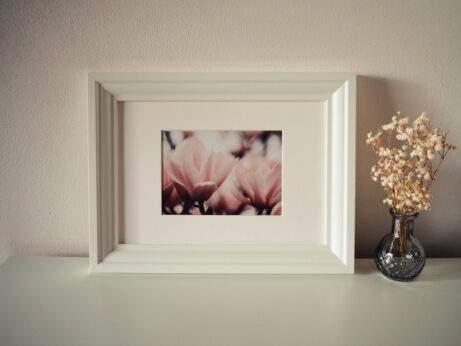 magnolie, obraz na zeď