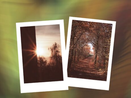 Projekt 52 (2025): Tichý návrat k sobě