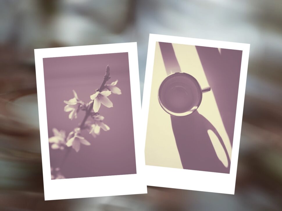 větvička s květy a stíny hrnku s kafem na polaritu