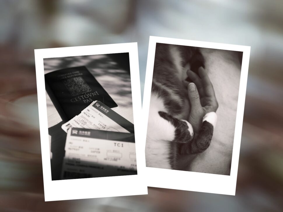 blog 8/52 návrat polaroid