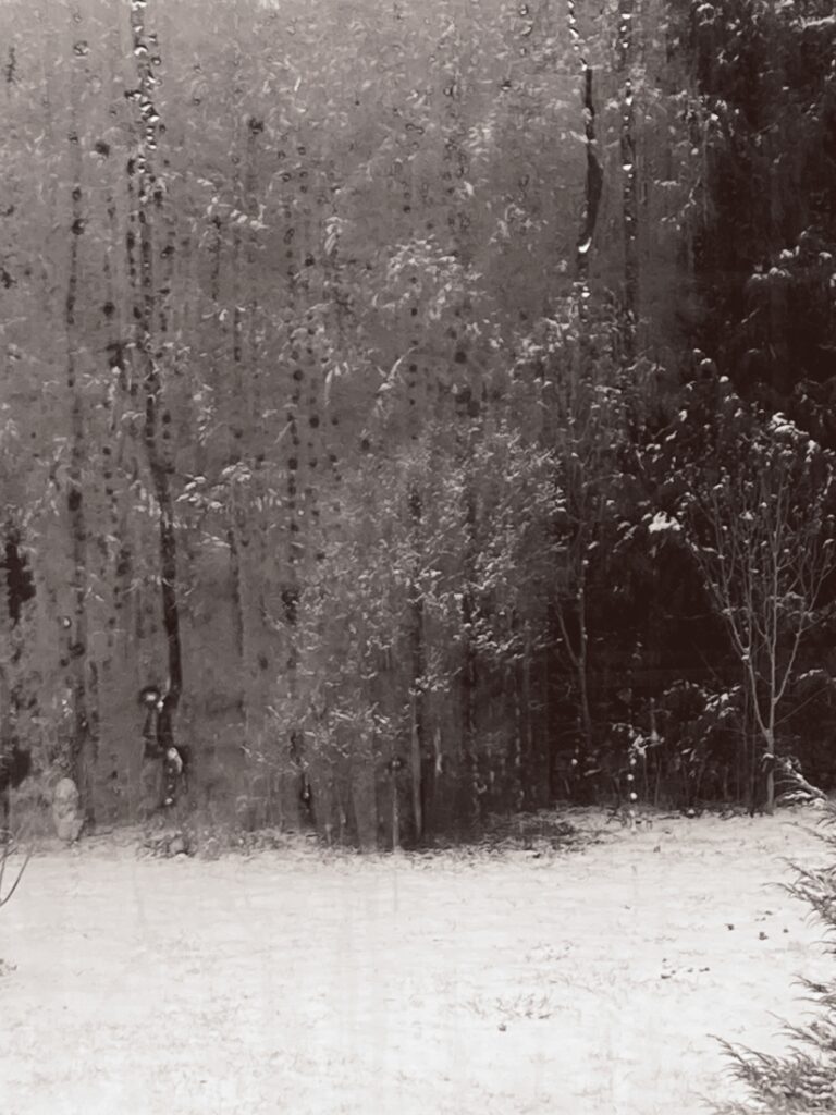 zasněžená krajina skrz okno