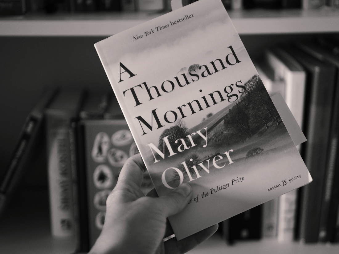 kniha básní Mary Oliver u knihovny