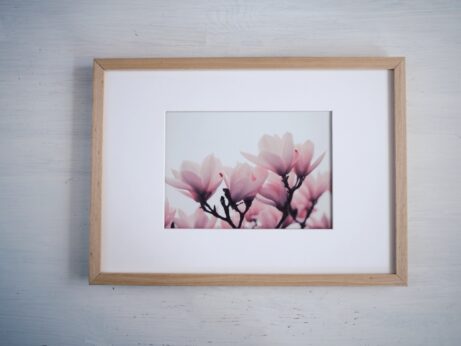 magnolie obraz v rámu