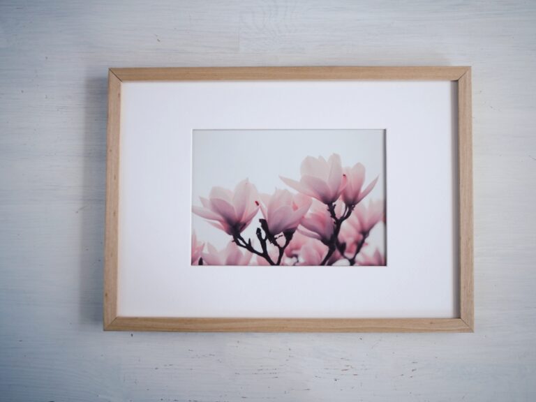magnolie obraz v&nbsp;rámu