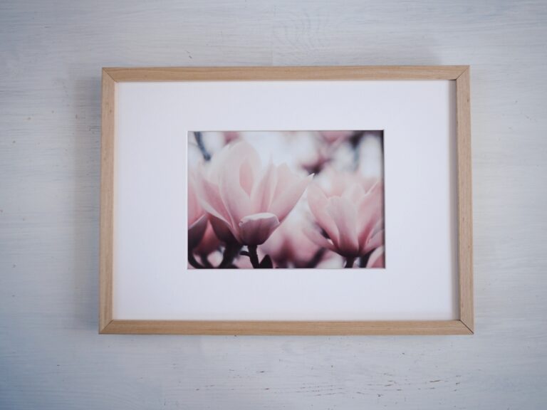 magnolie obraz na&nbsp;zeď