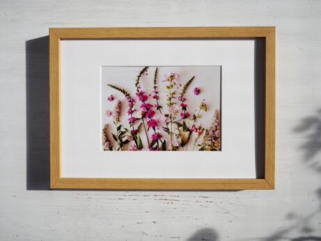 obraz letní květiny v rámu