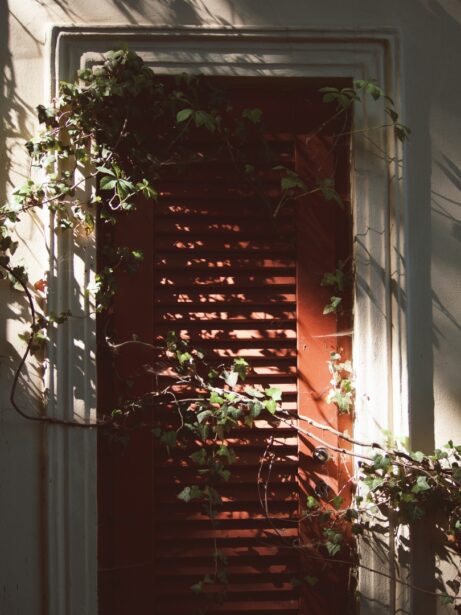 stíny na&nbsp;dveřích