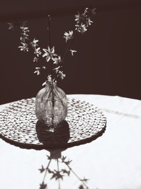 zlatice ve&nbsp;váze na&nbsp;stole černobílá