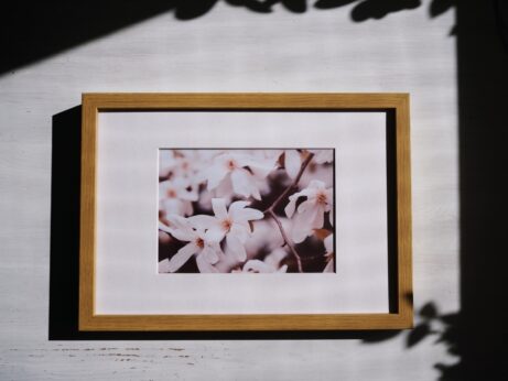 Bílá magnolie v jemném světle, autorský obraz v rámu