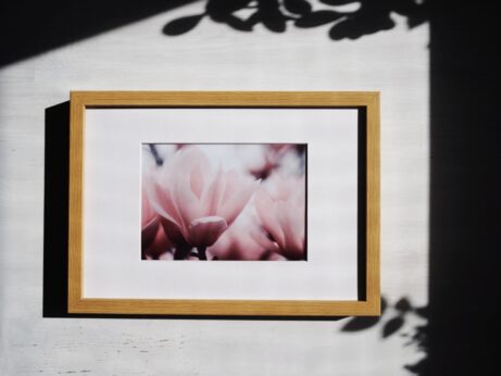 Jemný autorský obraz magnólií v růžových tónech ve světlém interiéru