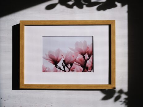 Detail rozkvetlých magnólií v pastelových odstínech s jemnou jarní atmosférou