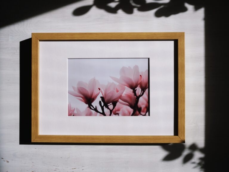 Detail rozkvetlých magnólií v&nbsp;pastelových odstínech s&nbsp;jemnou jarní atmosférou