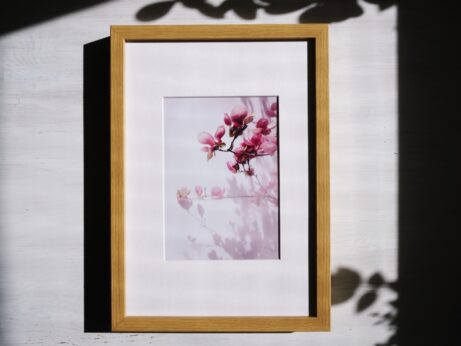 Obraz Dotek světla – autorská fotografie