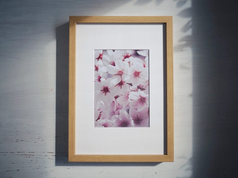 Sakury – jemná květinová fotografie v přirozeném světle v rámu