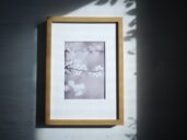 Jemná fotografie rozkvetlé jarní větvičky v měkkém světle, v rámu s paspartou.