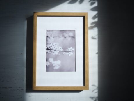 Jemná fotografie rozkvetlé jarní větvičky v měkkém světle, v rámu s paspartou.