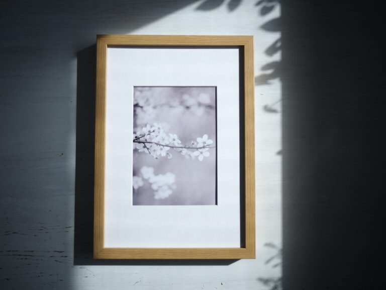 Jemná fotografie rozkvetlé jarní větvičky v měkkém světle, v rámu s paspartou.