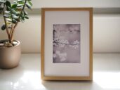 Obraz v interiéru. Jemná fotografie rozkvetlé jarní větvičky v měkkém světle, v rámu s paspartou.