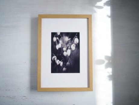 Věčné jaro – černobílá fotografie jarních květů v rámu s paspartou