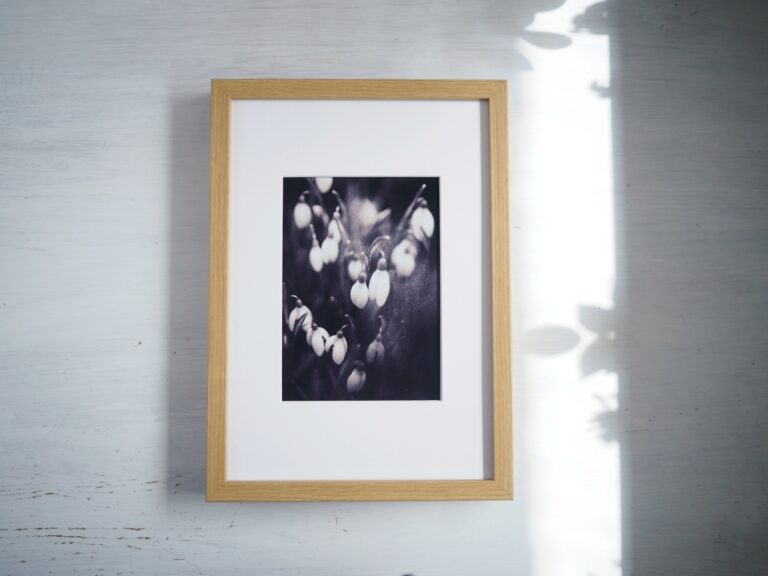 Věčné jaro – černobílá fotografie jarních květů v&nbsp;rámu s&nbsp;paspartou