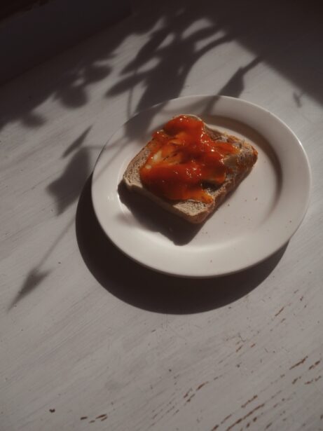 zátiší toastový chleba s&nbsp;meruňkovou marmeládou a&nbsp;stíny