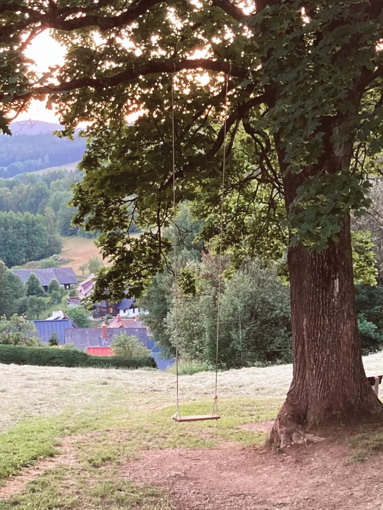 horská krajina a strom s houpačkou