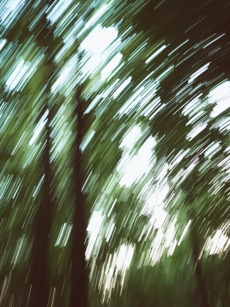 blur motion fotografie lesa
