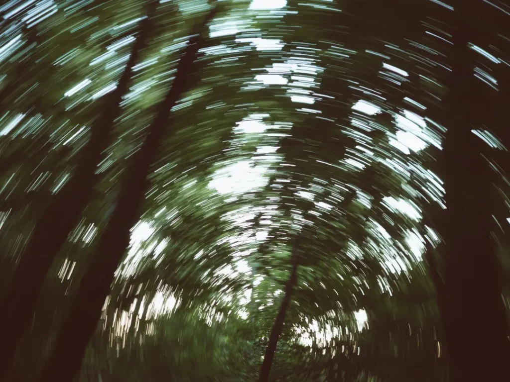 blur motion fotografie lesa