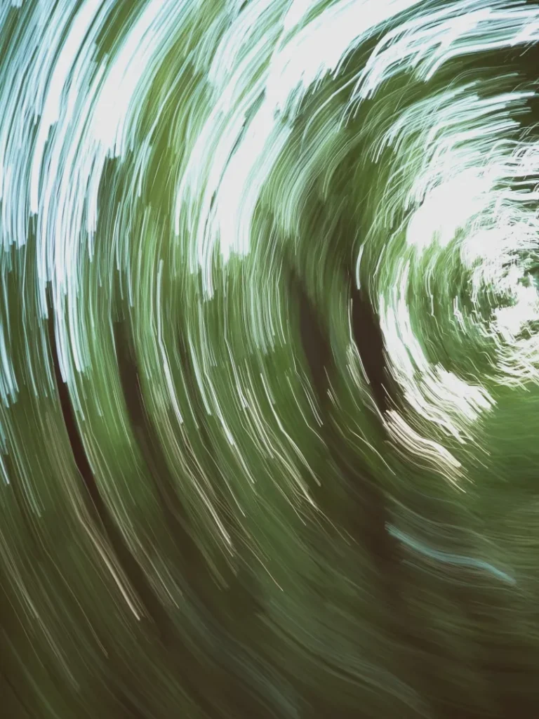 blur motion fotografie lesa